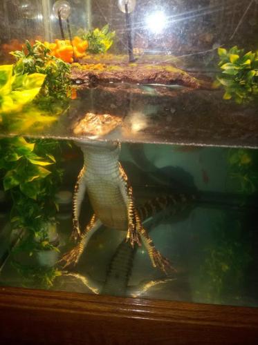 00:58:13 GMT-0500 (EST)