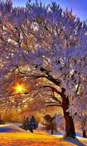 13:06:12 GMT-0600 (CST)