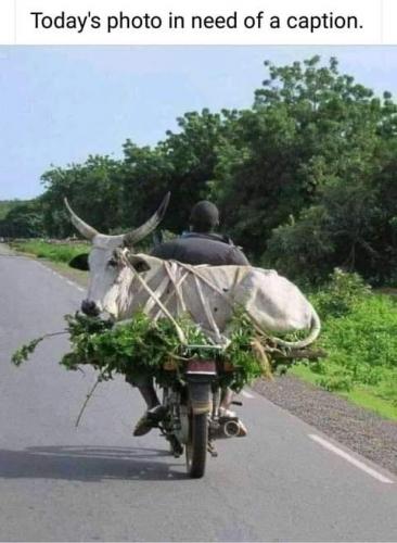 14:27:17 GMT-0700 (PDT)