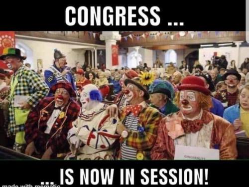 CONGRESS CLOWNS