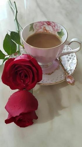 73145180_2575028579228999_8686595721509470208_o