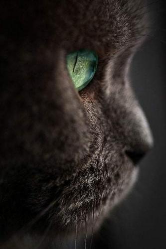 19:38:57 GMT-0600 (CST)