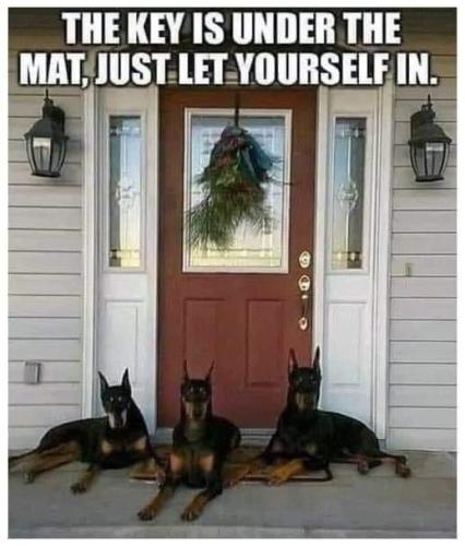 13:02:27 GMT-0600 (CST).image