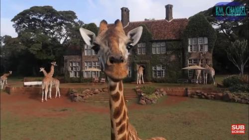 15:09:55 GMT-0700 (PDT)