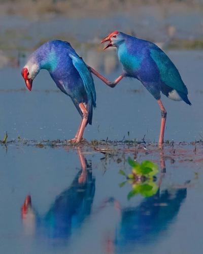 163284092_1830514220435105_6290231593380148355_o