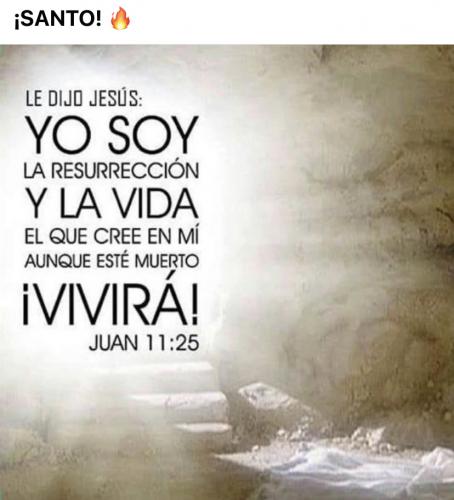 3BF691D6-6C40-4995-883E-391FCFD03F63