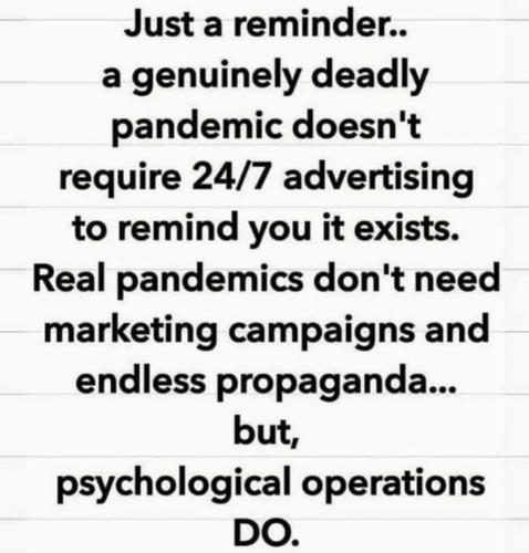 IFRam2DwZh5F51Uv7dMP_25_8dc6f7e74ee88d748ce26b045a546124_image_original