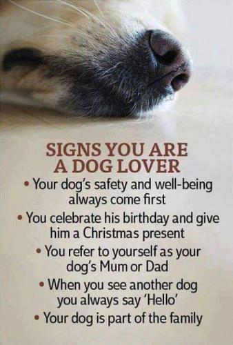 08:20:45 GMT-0500 (CDT)