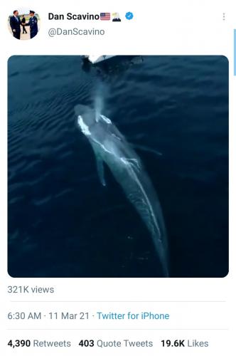 19:13:47 GMT-0500 (EST).image