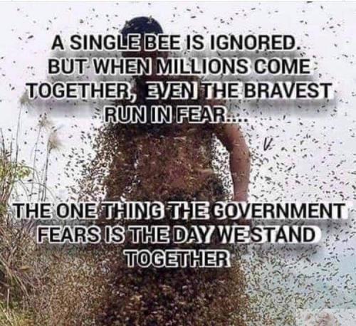 0433CACC-6AE7-4904-BFBA-A19E263F465D