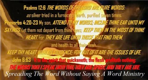 155770169_129776425708471_5295084721828416298_n