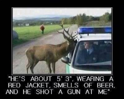 MOOSE COMPLAINT