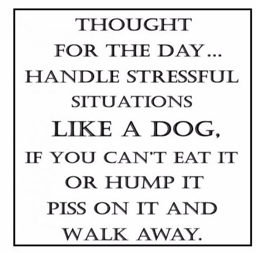 06:22:33 GMT-0500 (EST).image