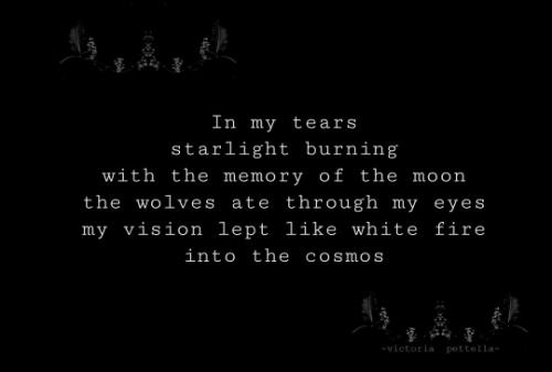 tumblr_20259045a62fe3ae7e48dcd87fffcbc3_613b2557_540