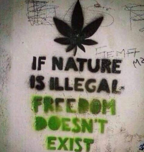 00:29:09 GMT-0600 (CST)