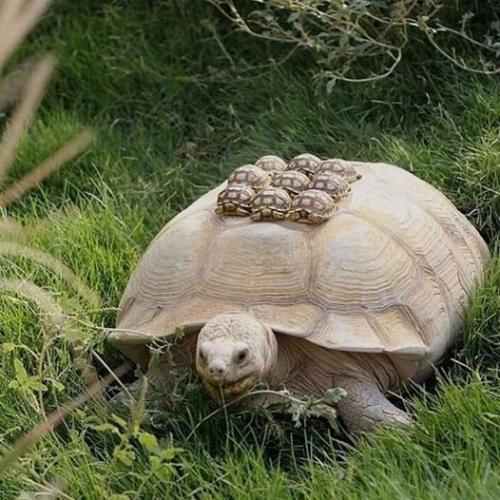 160164870_1818606608305543_4471955161164116892_o