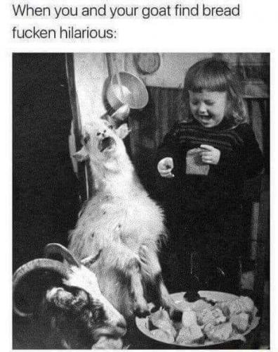 162541735_1841362479359589_4158774345928495586_n