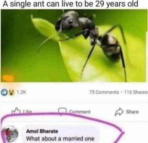 07:24:38 GMT-0600 (CST).image