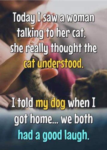 18:13:22 GMT-0400 (EDT)