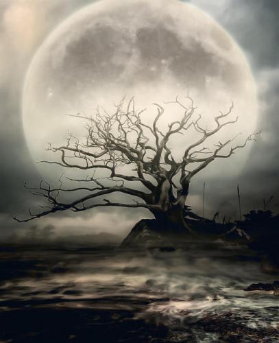 tumblr_af112765bfd8759d202811f0fbcaa2d5_72e0cadd_540