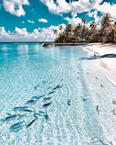 158861844_1529935593872452_8987148969749809875_n