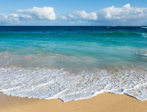 69655995_2623356424362163_4605955621521457152_n