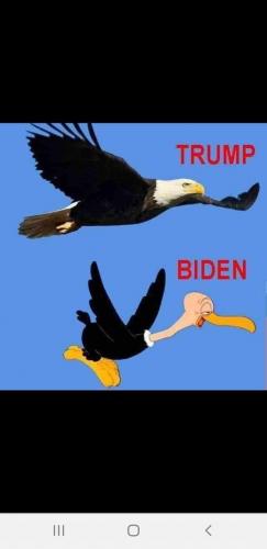 FB_IMG_1615388246982