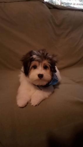 16:05:16 GMT-0400 (EDT)