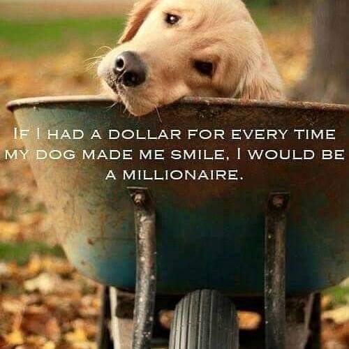 08:41:37 GMT-0400 (EDT)