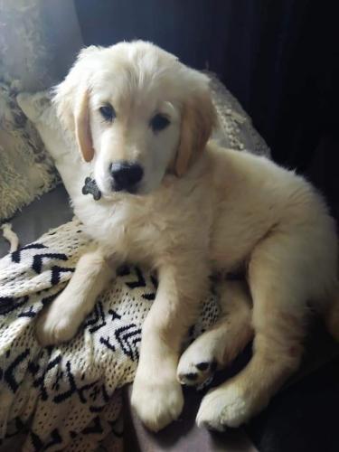 09:13:26 GMT-0500 (CDT)