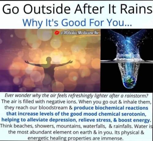 AF07305B-37E0-48EA-85F9-6FB343226C60