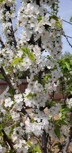 13:15:18 GMT-0700 (PDT)