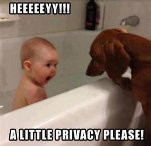 21:02:16 GMT-0400 (EDT)