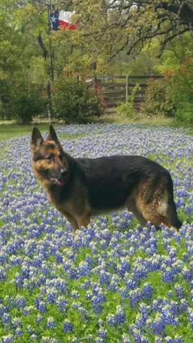 03:54:02 GMT-0500 (CDT)