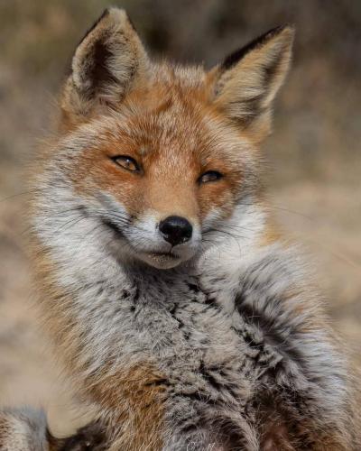 171343006_1841816902651180_1572548279112130195_n