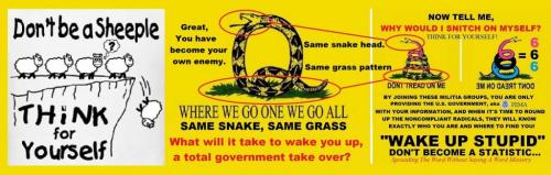 127854368_3428045660627874_5370643989080878267_n