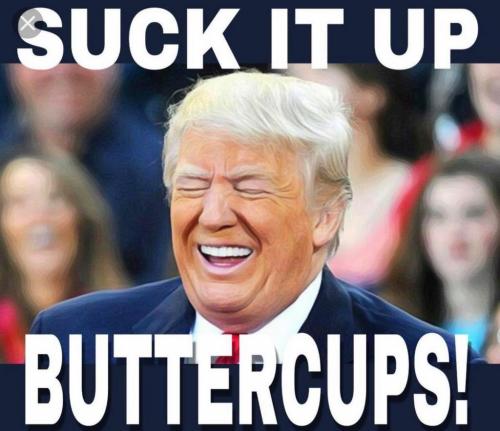 62089985_2827157807314333_3423383470884257792_o