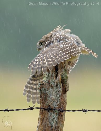 tumblr_n8nsbq9pzd1ssk8cyo1_540