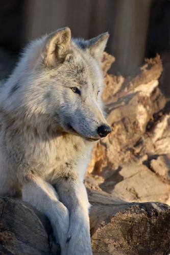 e5686ff08f508d738d6e1f99190d6357