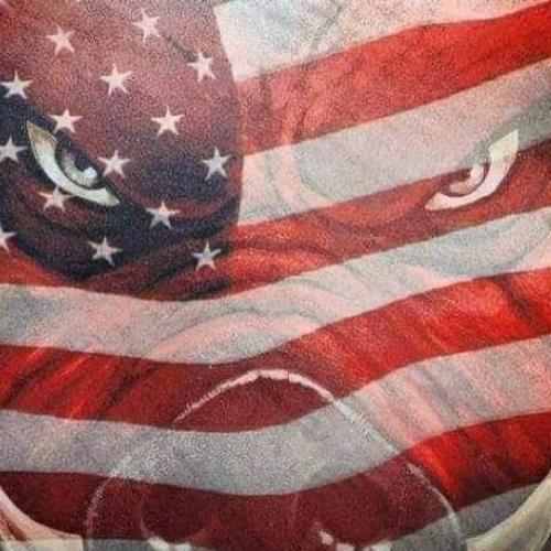 63b6ac80-c515-4942-a5c2-3ae0f344e9a9