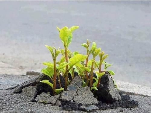 111222354_161442142116202_5581903742789952861_n