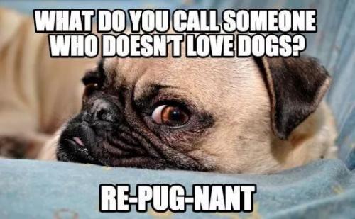 17:50:30 GMT-0500 (CDT)