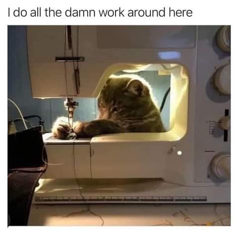 19:29:05 GMT-0700 (PDT)