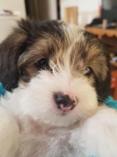 16:05:16 GMT-0400 (EDT)