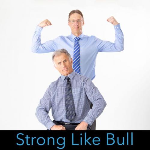 bobandbradstronglikebull