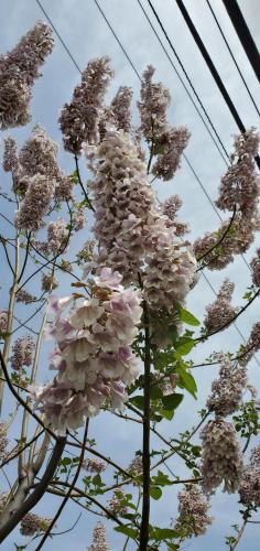 13:15:18 GMT-0700 (PDT)