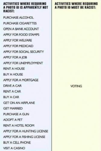 voterfraud156