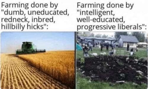 105455623_10220143853641165_8652587024841161196_n