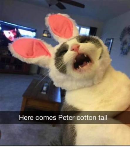 22:59:53 GMT-0700 (PDT)