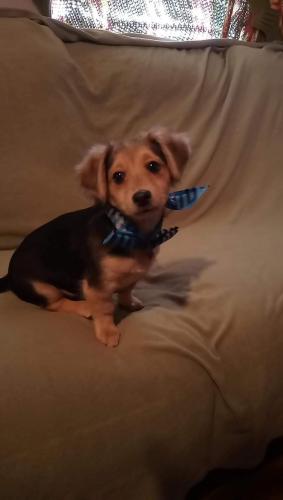 16:05:16 GMT-0400 (EDT)